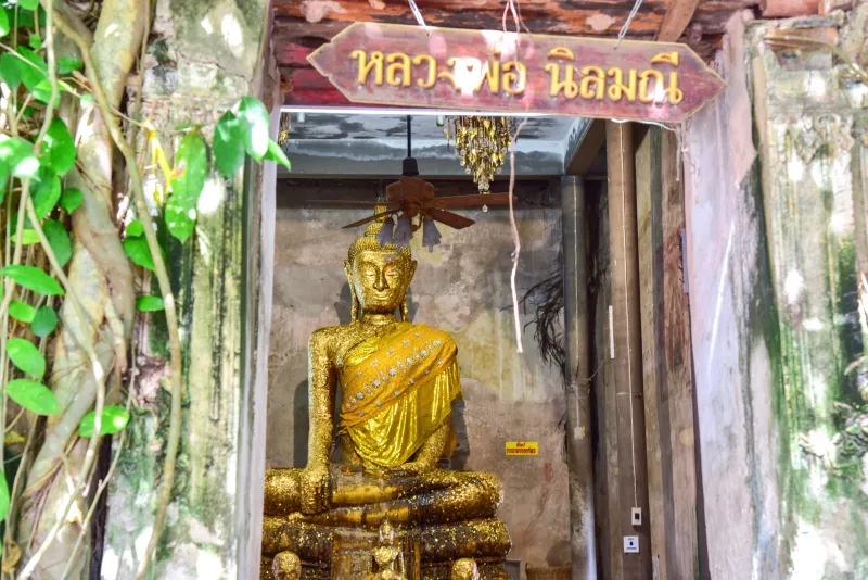 ที่เที่ยวอัมพวา