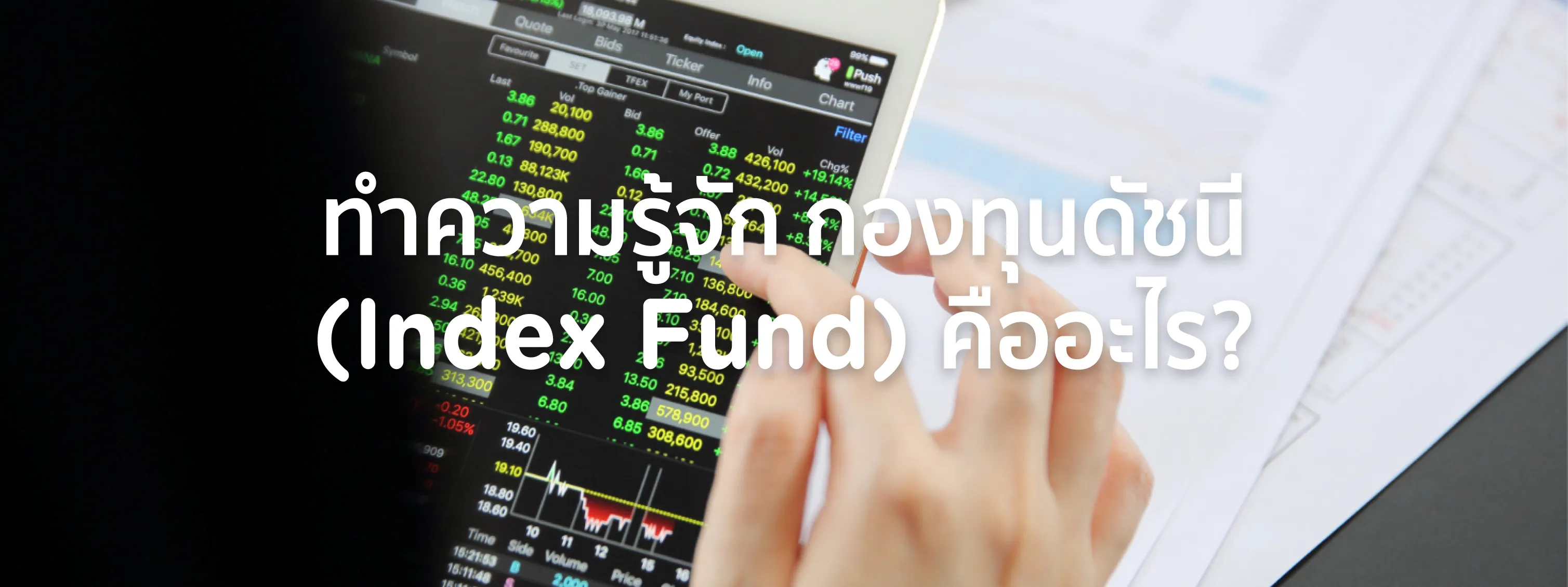 index fund คือ