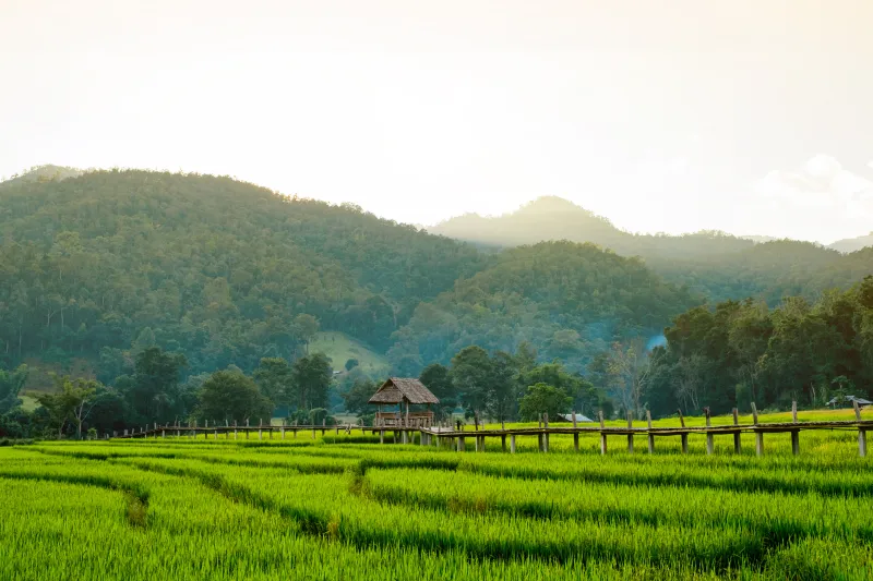 ที่เที่ยวปาย