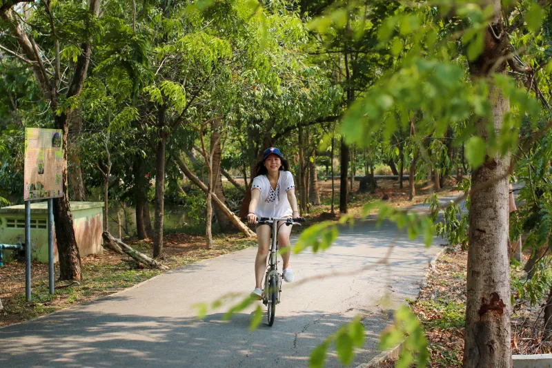 เที่ยวคนเดียว