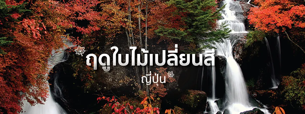 แนะนำสถานที่ท่องเที่ยวสุดโรแมนติก ฤดูใบไม้เปลี่ยนสีที่ญี่ปุ่น