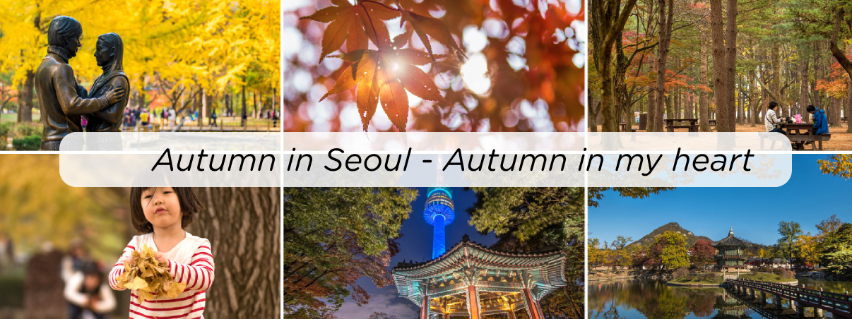 Autumn in Seoul - Autumn in my heart