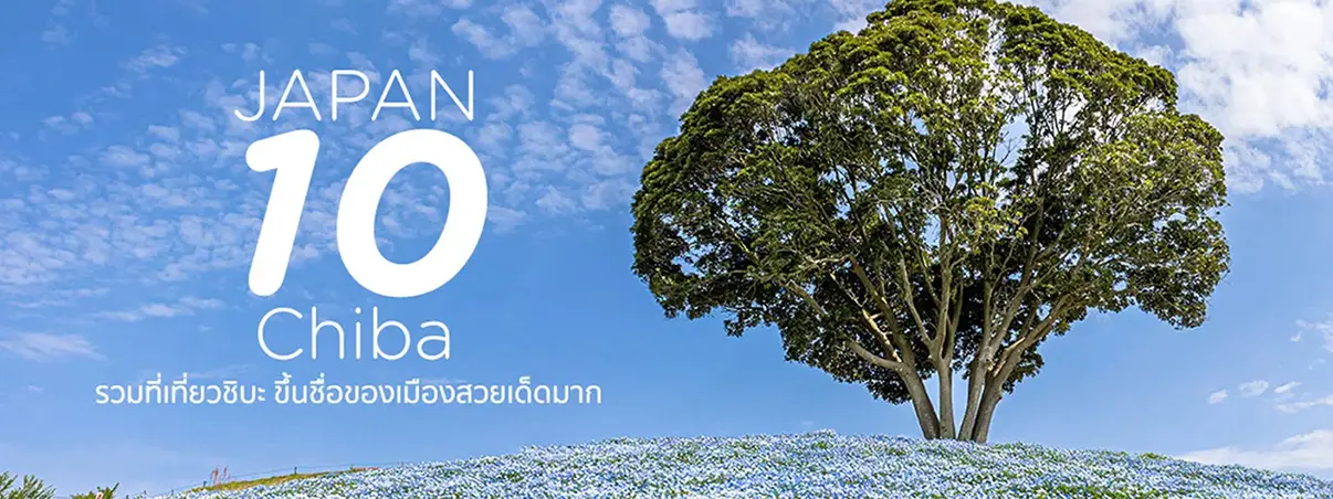 เที่ยวชิบะ Chiba