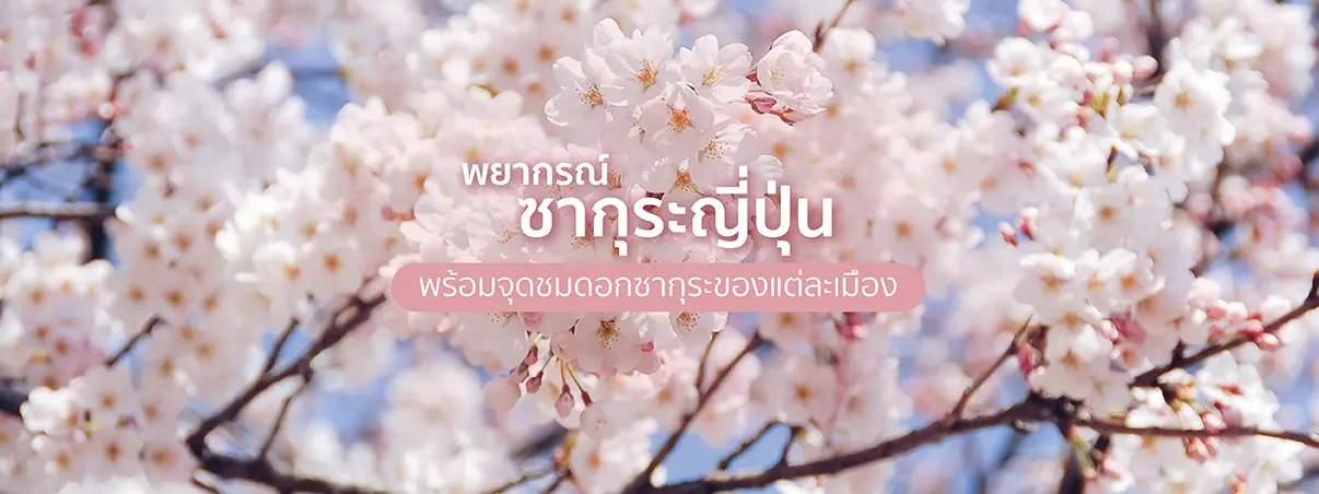 พยากรณ์ซากุระ ญี่ปุ่น 2025