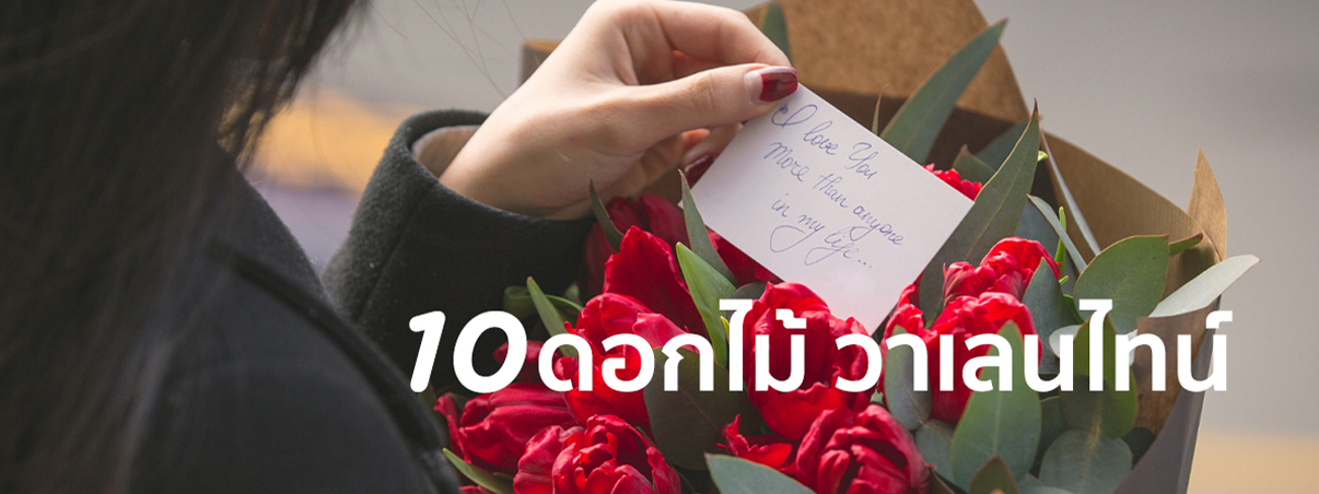 ดอกไม้ วาเลนไทน์ 