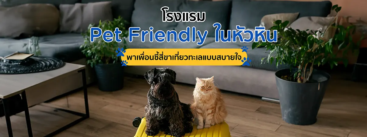  โรงแรม Pet-Friendly หัวหิน