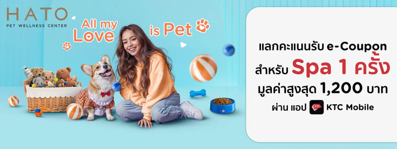 โปรโมชั่น KTC