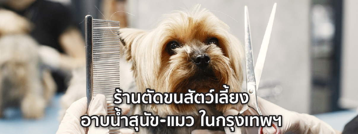 ร้านตัดขนสัตว์