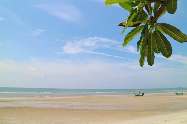 ทะเลและหาดทรายของหาดชะอำ 