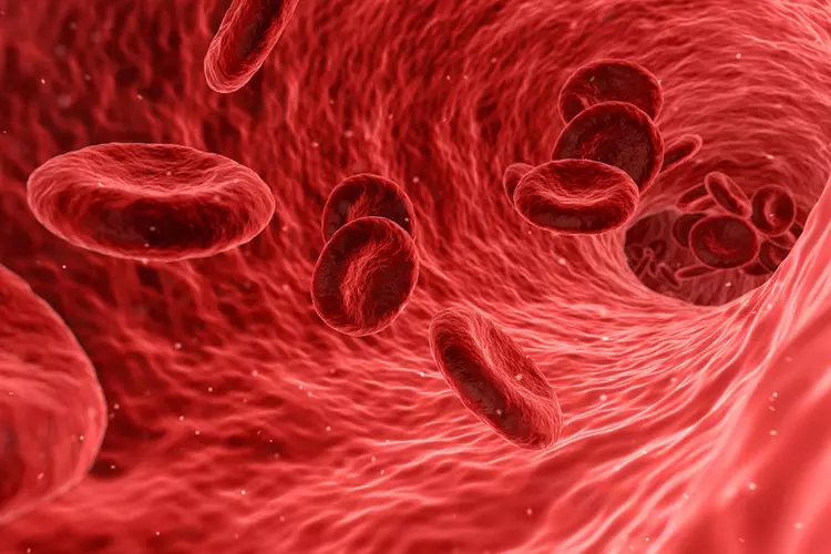 เซลล์เม็ดเลือดแดง 