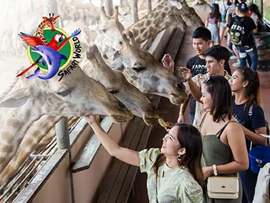 บัตรเข้า Safari World