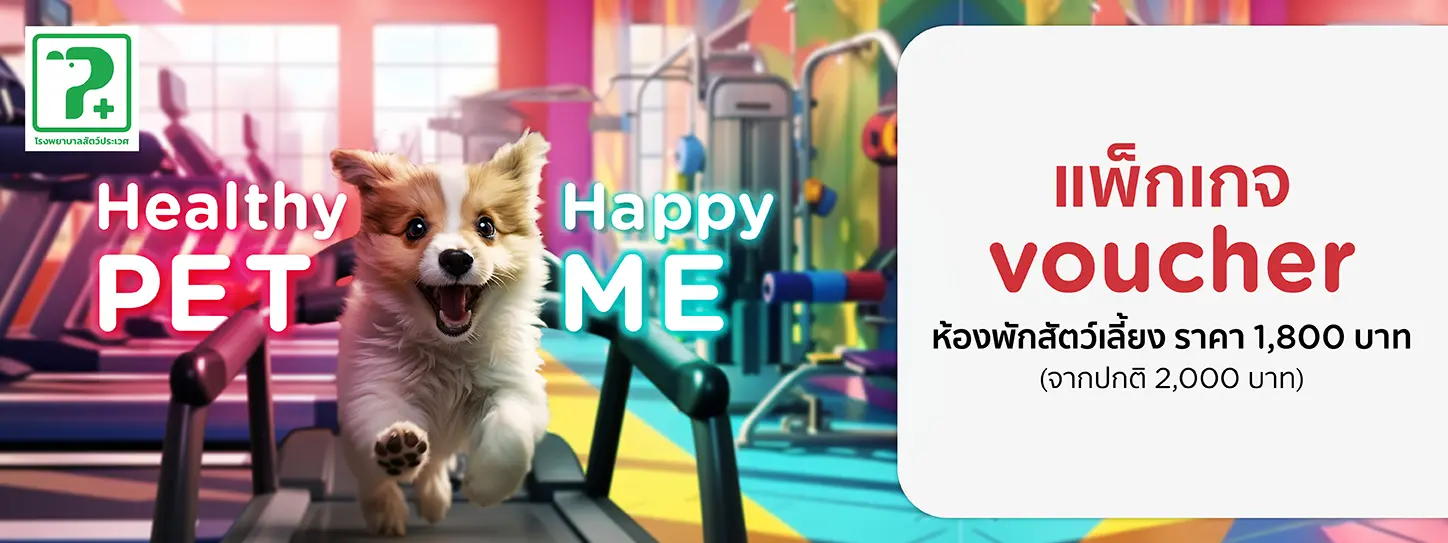 Healthy Pet...Happy Me 2024 at PRAWET PET HOSPITAL