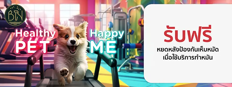 Healthy Pet...Happy Me 2024 ที่ โรงพยาบาลสัตว์ กรุงเทพ-นครินทร์