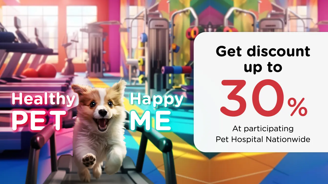 Healthy Pet...Happy Me 2024 โรงพยาบาลสัตว์ ที่ร่วมรายการทั่วประเทศ