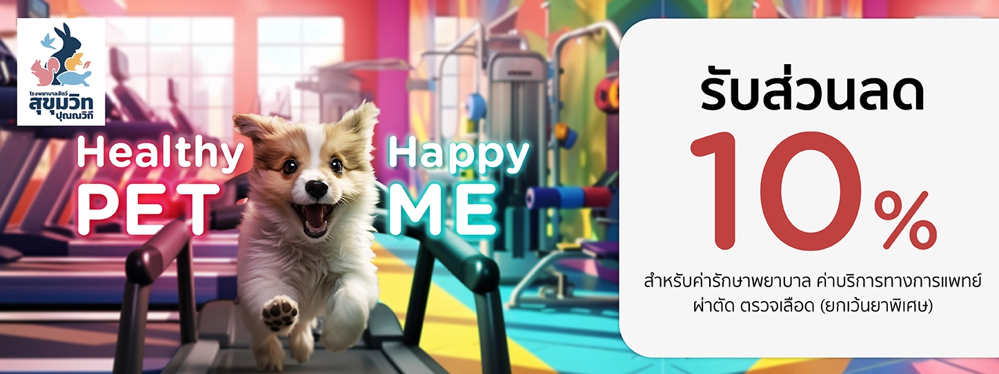 Healthy Pet...Happy Me 2024 ที่ โรงพยาบาลสัตว์สุขุมวิท-ปุณณวิถี
