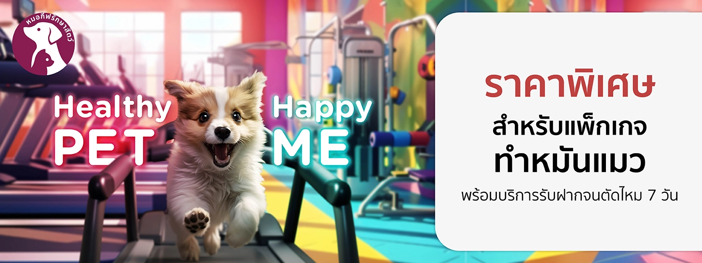 Healthy Pet...Happy Me 2024 ที่  คลินิกหมอกีฟ รักษาสัตว์