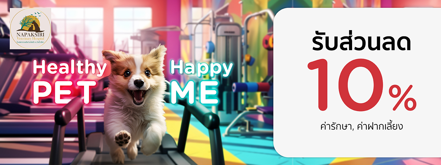 Healthy Pet...Happy Me 2024 at NAPAKSIRI