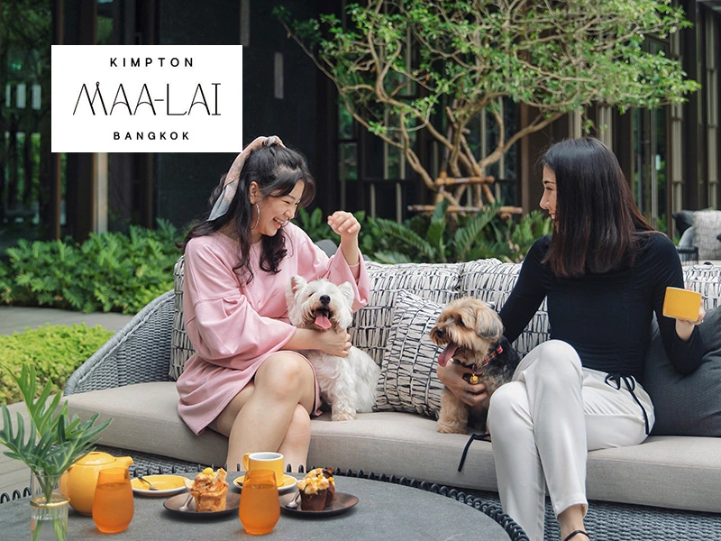 คาเฟ่ โรงแรม คิมป์ตัน มาลัย กรุงเทพฯ
(Kimpton Maa-Lai Bangkok)