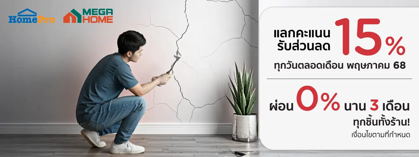 HomePro & Mega Home