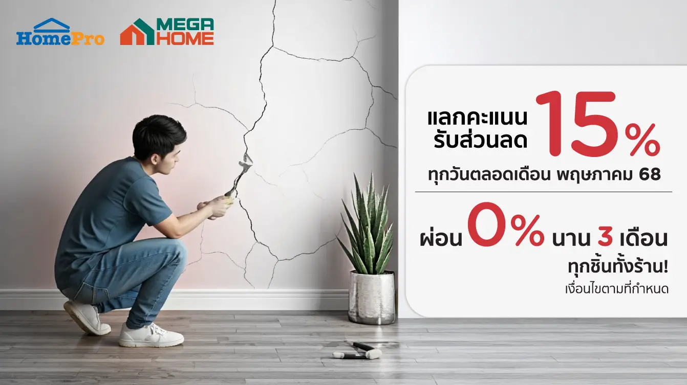 HomePro & Mega Home