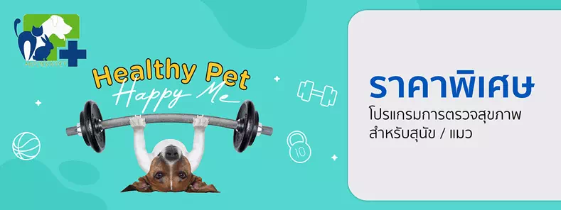 Healthy Pet...Happy Me 2023 ที่ โรงพยาบาลสัตว์ โมเดอร์นเพ็ท