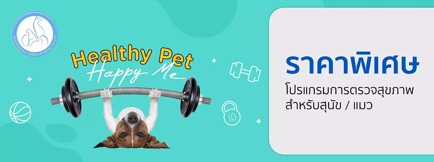 Healthy Pet...Happy Me 2023 ที่ โรงพยาบาลสัตว์ บ้านฉางพลา