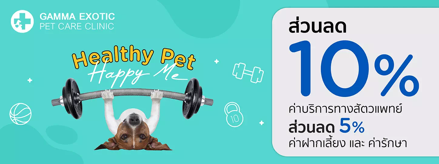 Healthy Pet...Happy Me 2023 at GAMMA EXOYIC PET CARE CLINIC