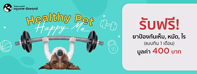 Healthy Pet...Happy Me 2023 ที่ โรงพยาบาลสัตว์กรุงเทพ ชัยพฤกษ์