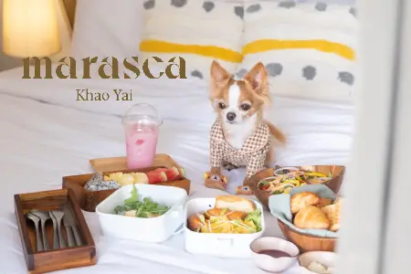 Marasca Khao Yai