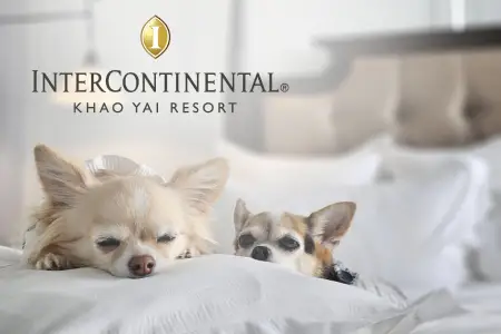 InterContinental Khao Yai Resort