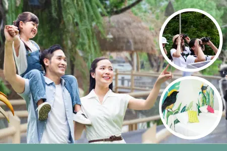 Bird Journey & ECO System Camp