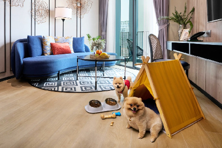 All About Pet