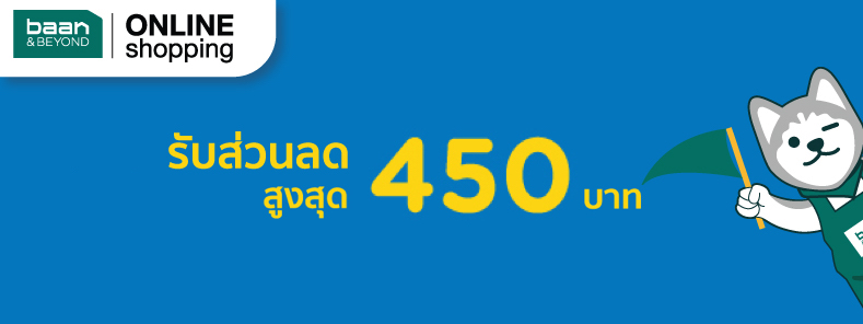 Baan & Beyond online