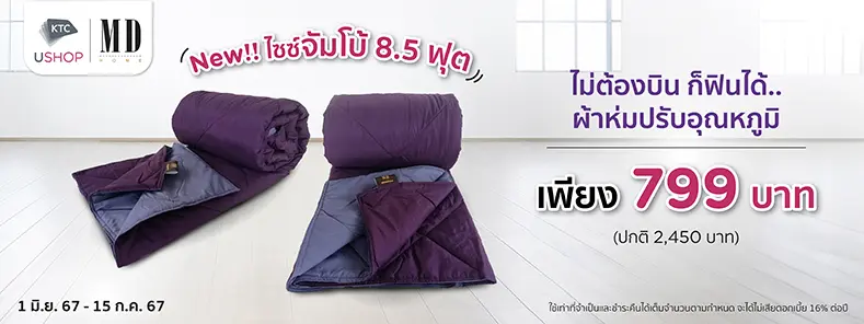 Business Class Blanket 