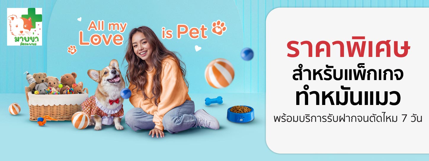 All my LOVE is PET at Hato Pet Wellness Center