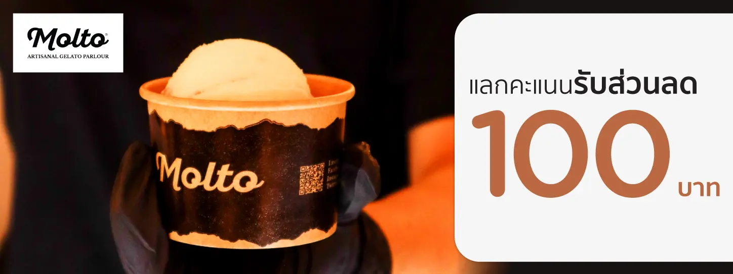 MOLTO Premium Gelato