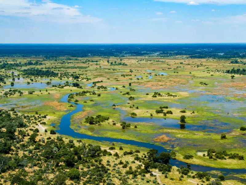 ปากแม่น้ำโอคาวานโก (Okavango Delta)