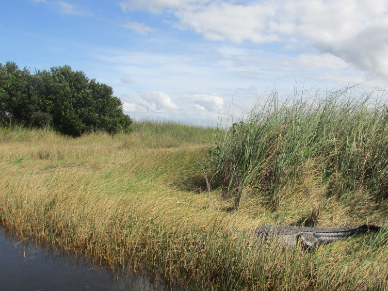 Everglades National Park