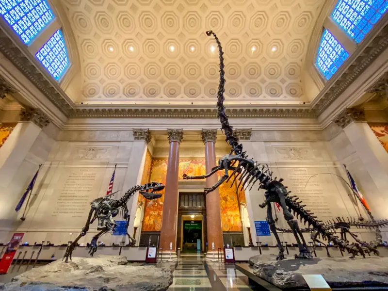 American Museum of Natural History