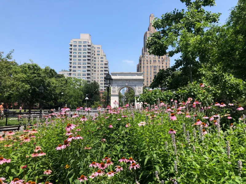 Washington Square Park New York