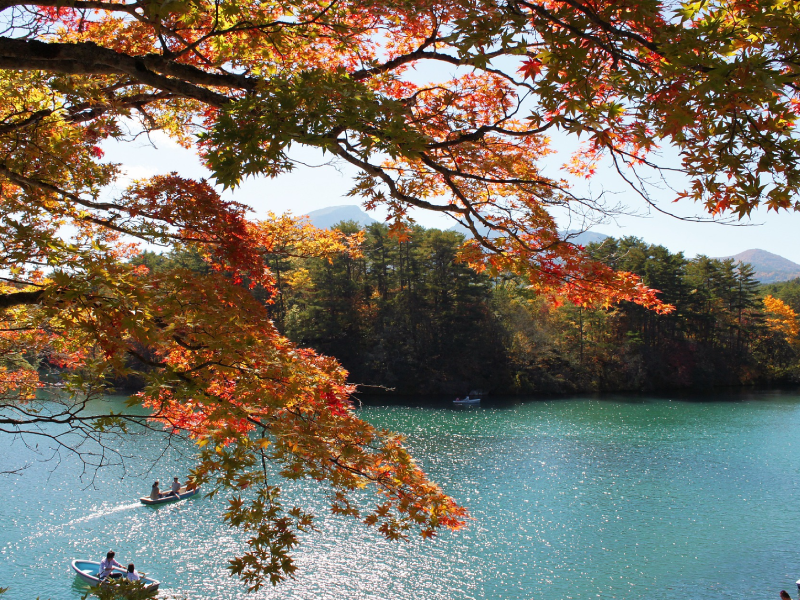 ทะเลสาปโกชิคินุมะ