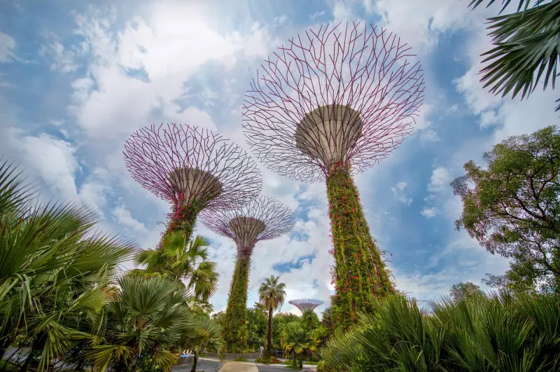 23 ที่เที่ยวสิงคโปร์ Gardens by the bay