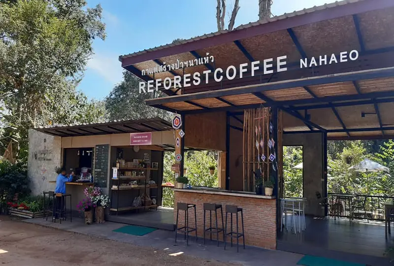 กาแฟสร้างป่าฯ นาแห้ว Reforest Coffee