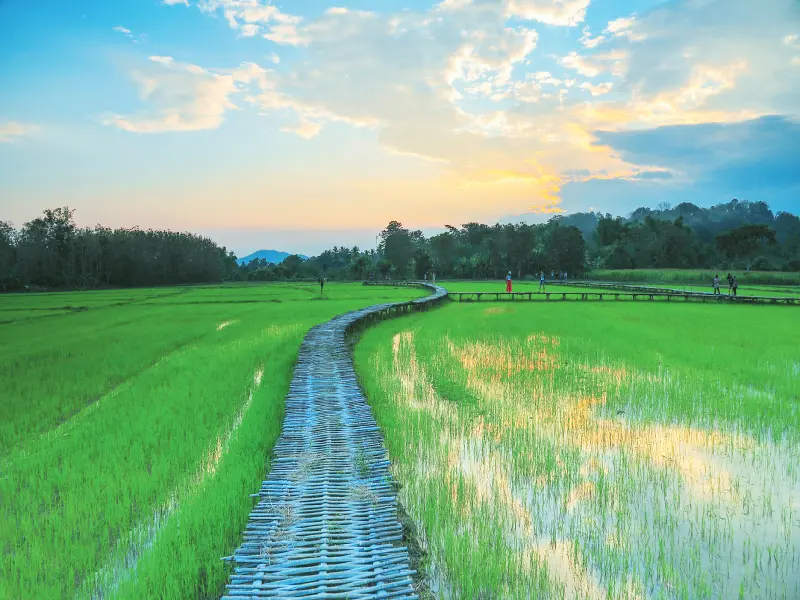 เที่ยวธรรมชาติ จังหวัดสุโขทัย