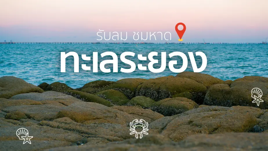 10 ทะเลระยอง ( Rayong Sea ) รับลม ชมหาด                    ไปกี่ทีไม่มีเบื่อ