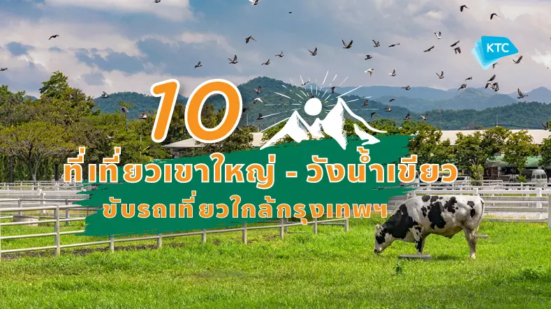 10 ที่เที่ยวเขาใหญ่ - วังน้ำเขียว ขับรถเที่ยวใกล้กรุงเทพฯ (Top 10 Places to Visit in Khao Yai)