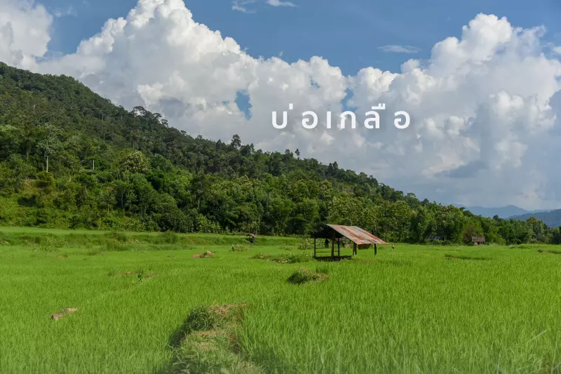 ที่เที่ยวน่านน่าเที่ยวนานๆ นะ จุดเช็คอินสุดสโลวไลฟ์เพลินกับธรรมชาติไทย