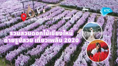 รวม 7 สวนดอกไม้เชียงใหม่ ถ่ายรูปสวย เที่ยวเพลิน 2020 My World