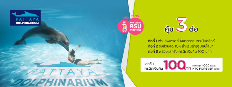 Pattaya Dolphinarium