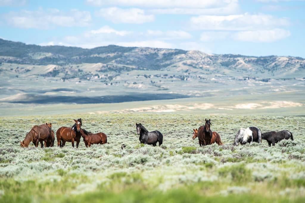 Tour Divide เป็นงานแข่งปั่นจักรยาน Off-road ซึ่งมีเส้นทางในเทือกเขาร็อกกี้จากประเทศแคนาดาลากยาวมาจนถึงเขตชายแดนของประเทศเม็กซิโก